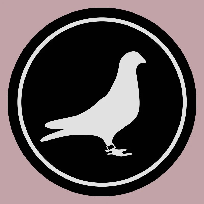 Racing pigeon