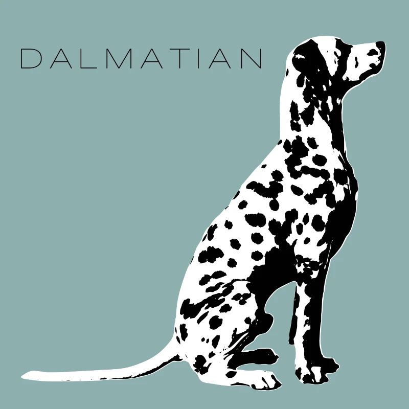 Dalmatian