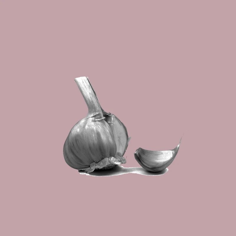 Knoblauch