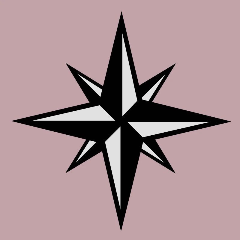 Compass icon
