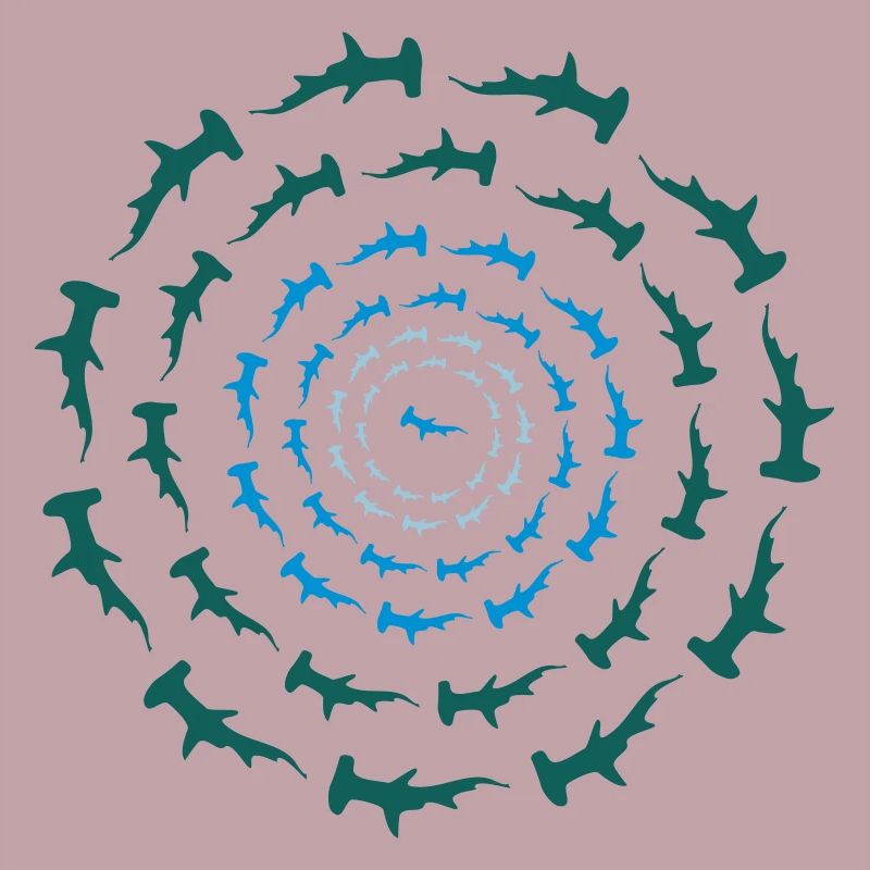 Hammerhai Circle