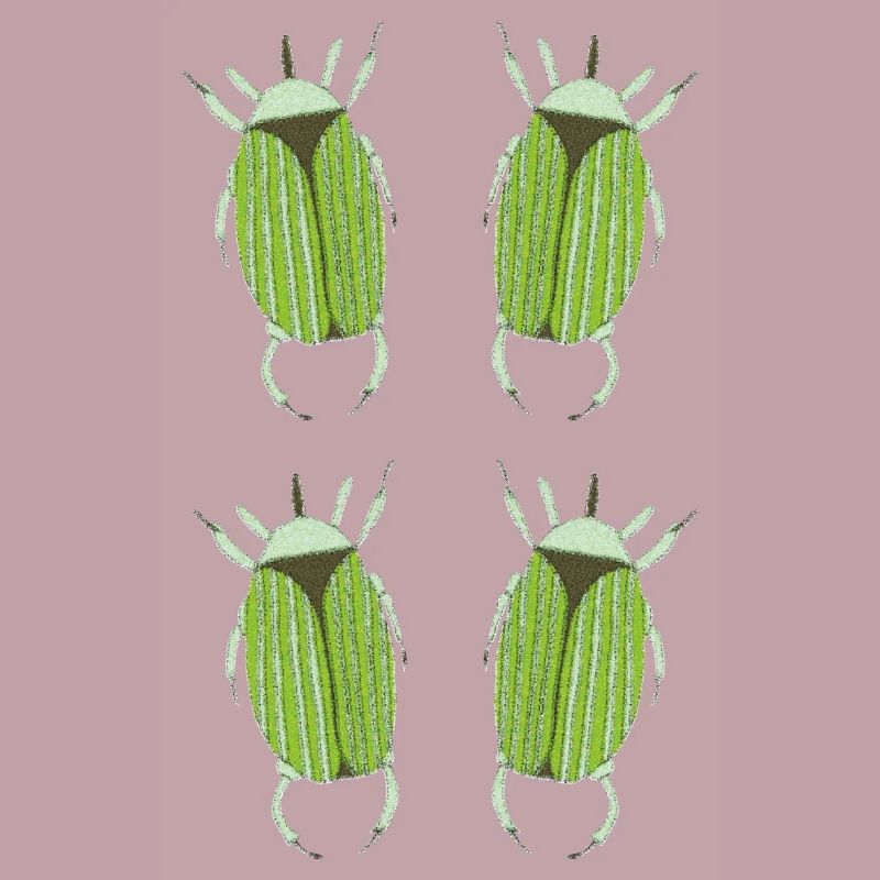 insecte vert