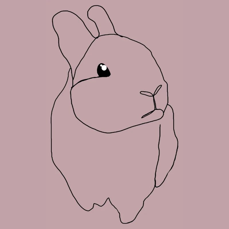 cute rabbit