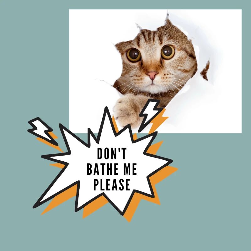 Ne me baigne pas chat