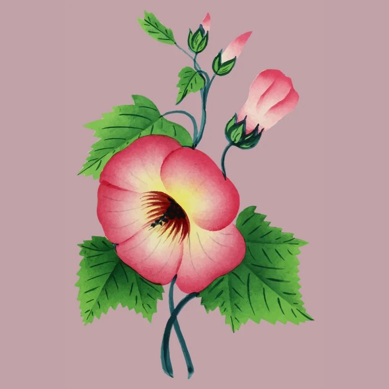 lily