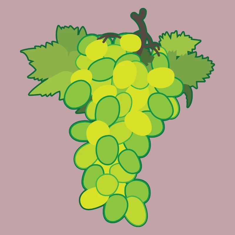 Weiße Traube
