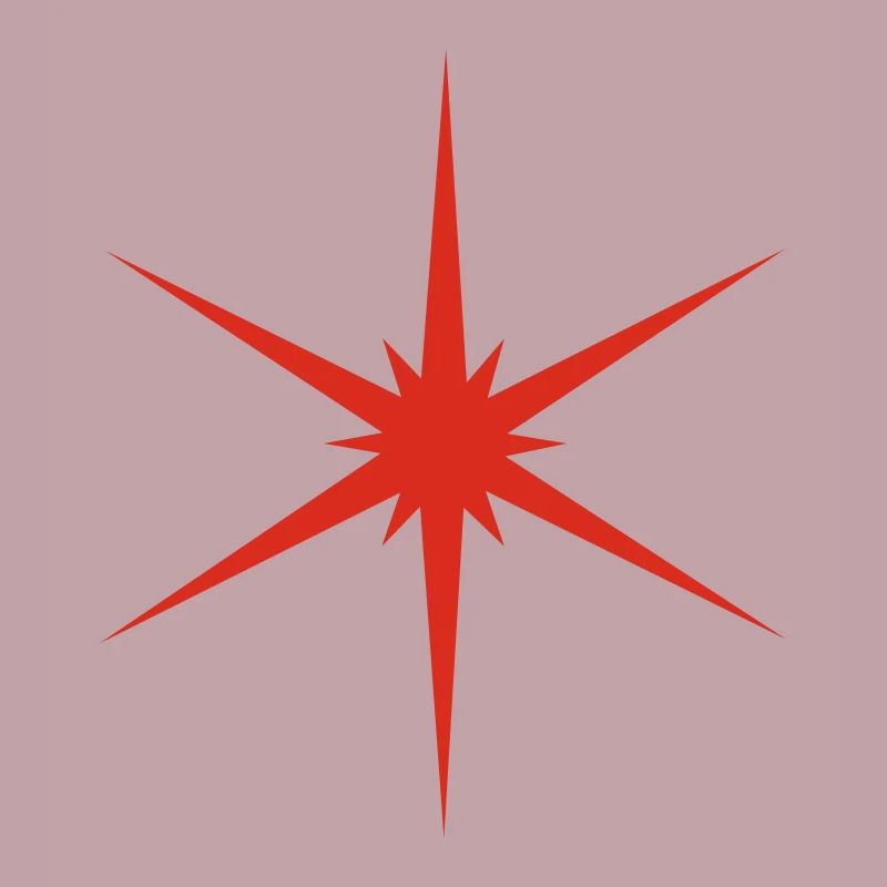 Étoile de Noël
