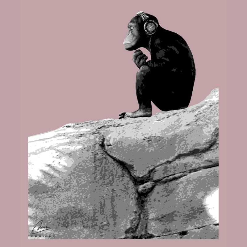 Musique de singe