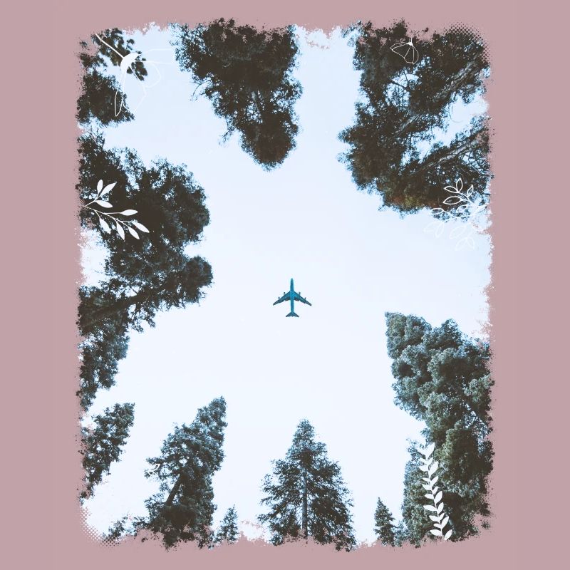 Forêt