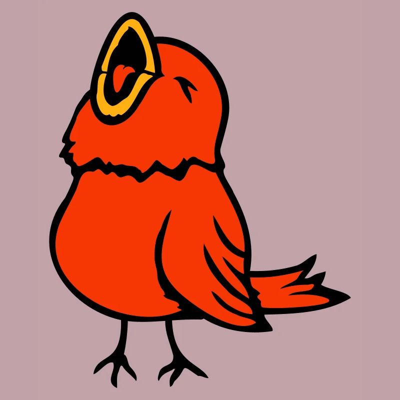 Wellensittich Singvogel Spatz Vogel zwitschert süß
