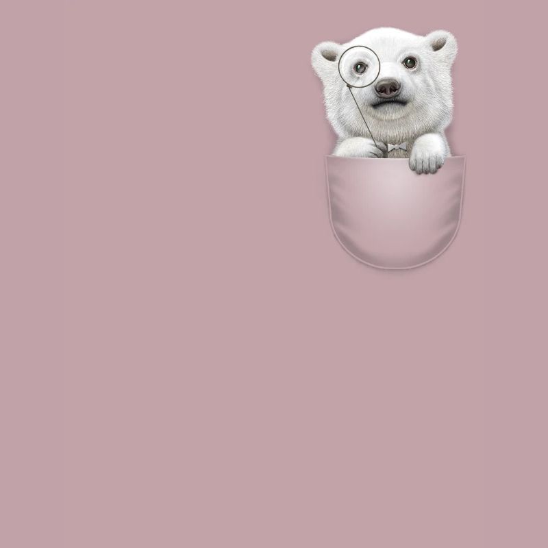 OURS POLAIRE DE POCHE
