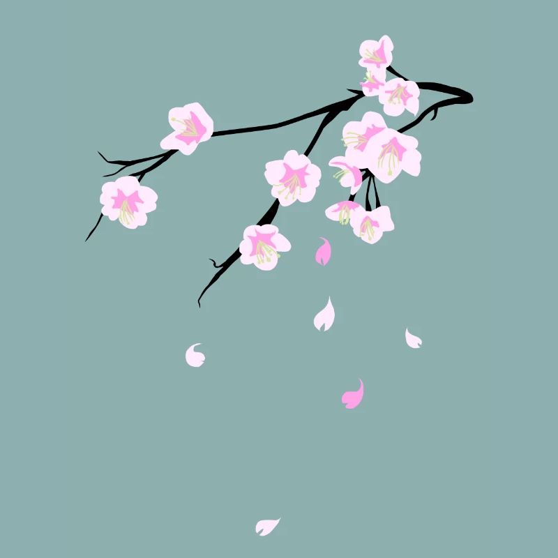 Cherry Blossoms