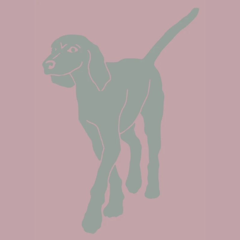 bracke hund