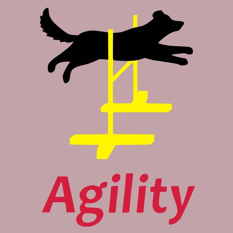 Agility 1