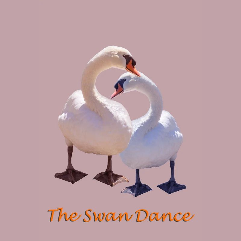 Schwan
