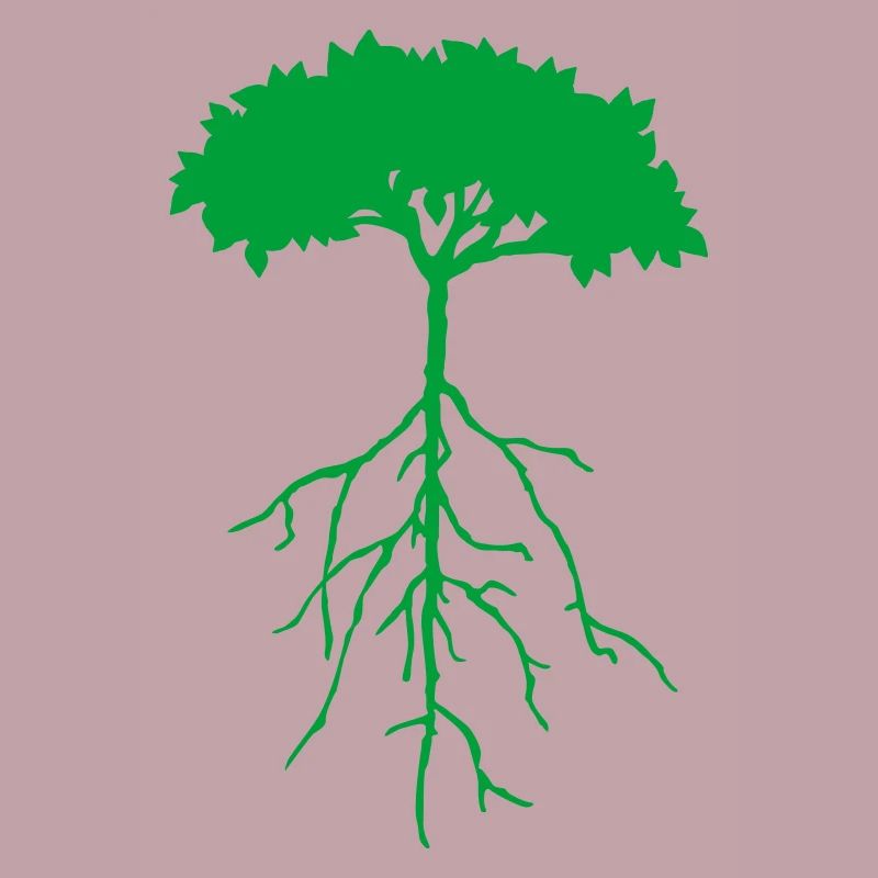 racine de l'arborescence