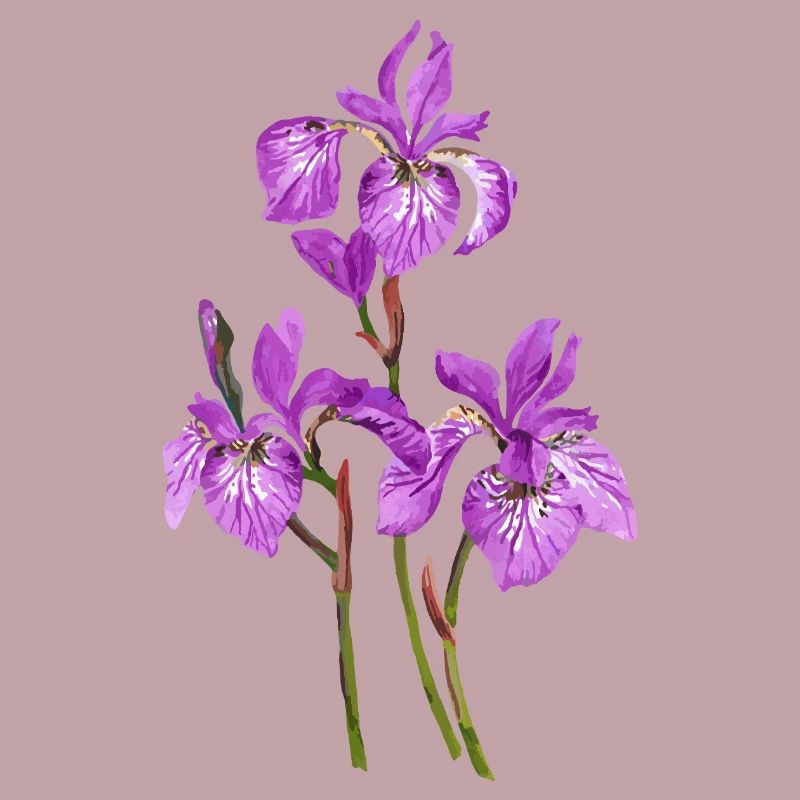 Fleur