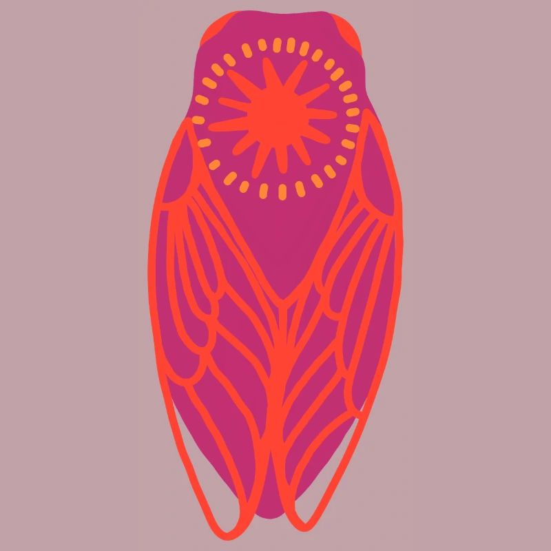 Cigale bohème soleil
