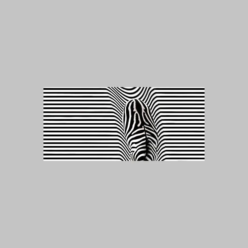 Zebra Optical Illusion