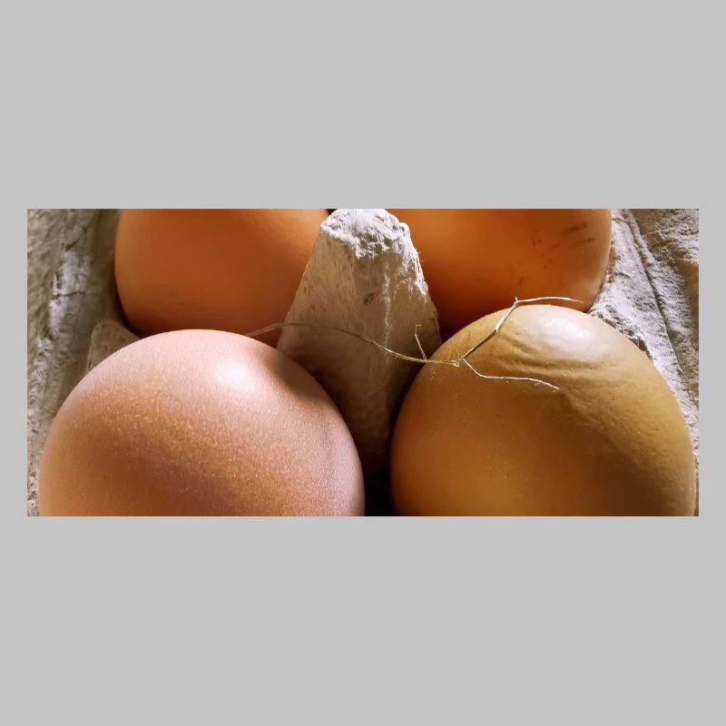 Eggs