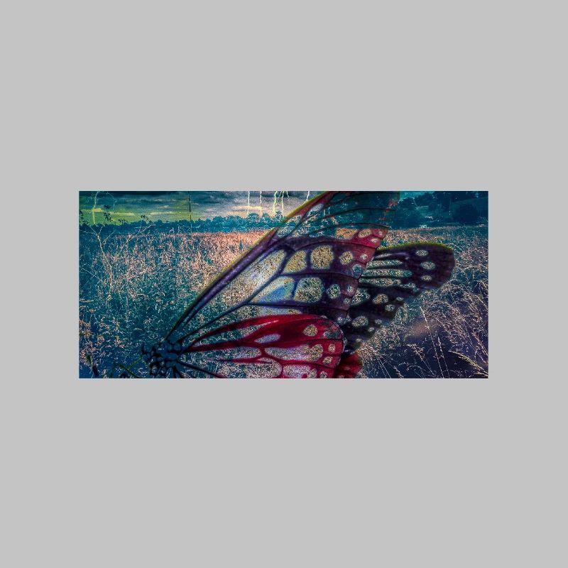 Butterfly under Storm Light