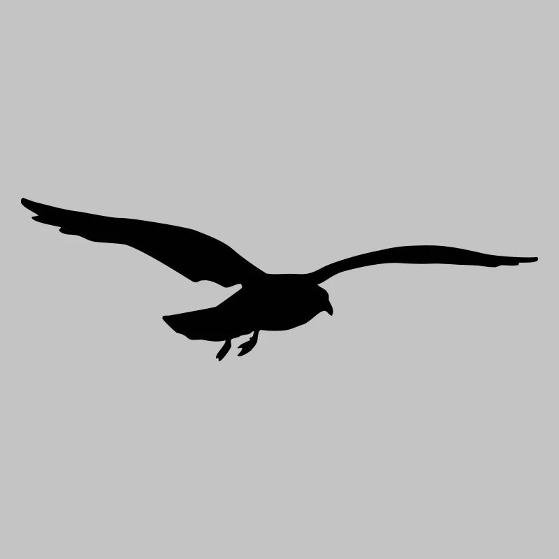 mouette