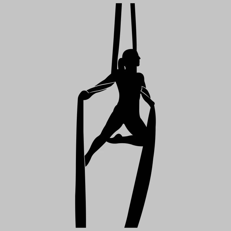 Aerial Silk
