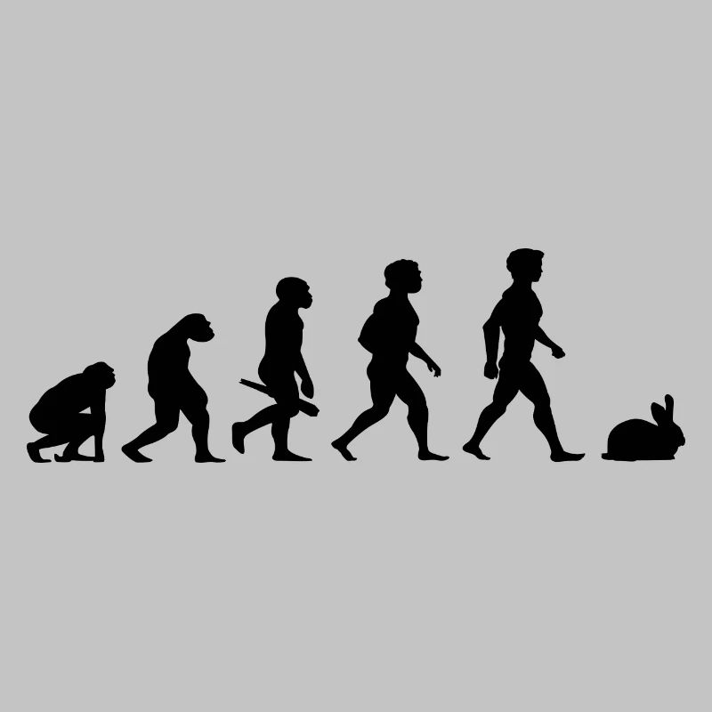 Evolution lapins lapin lapin rongeurs
