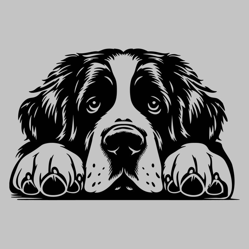 Tête de Saint-Bernard avec pattes