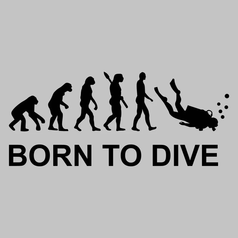 Évolution Plongée