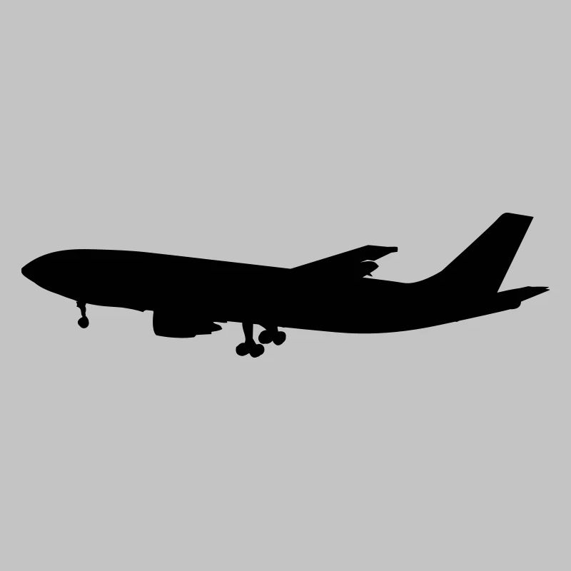 flugzeug - airplane