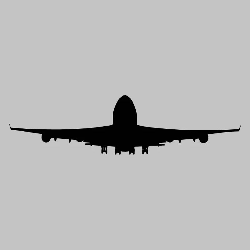 Flugzeug