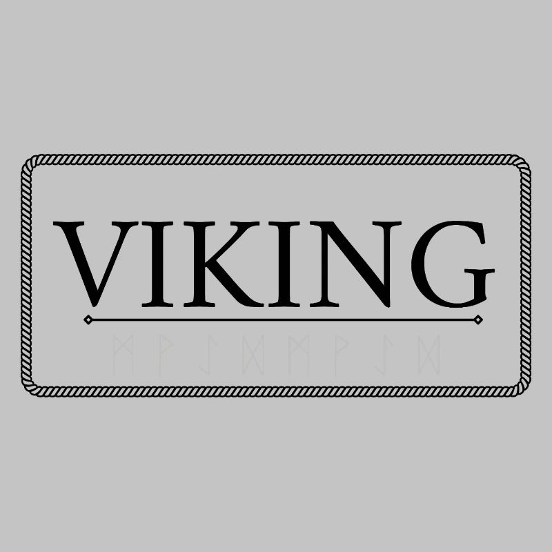 VIKING Frame