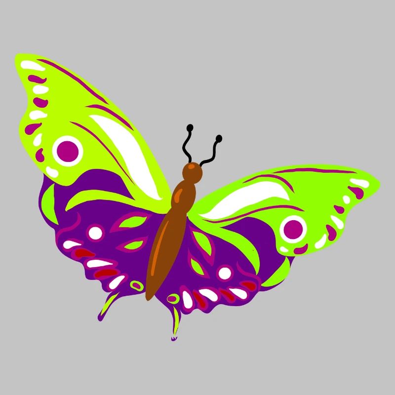 Illustration de papillon multicolore