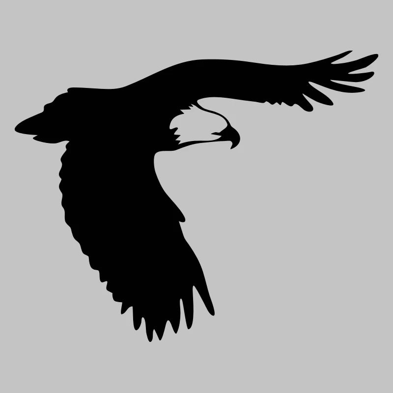 Adler im Flug