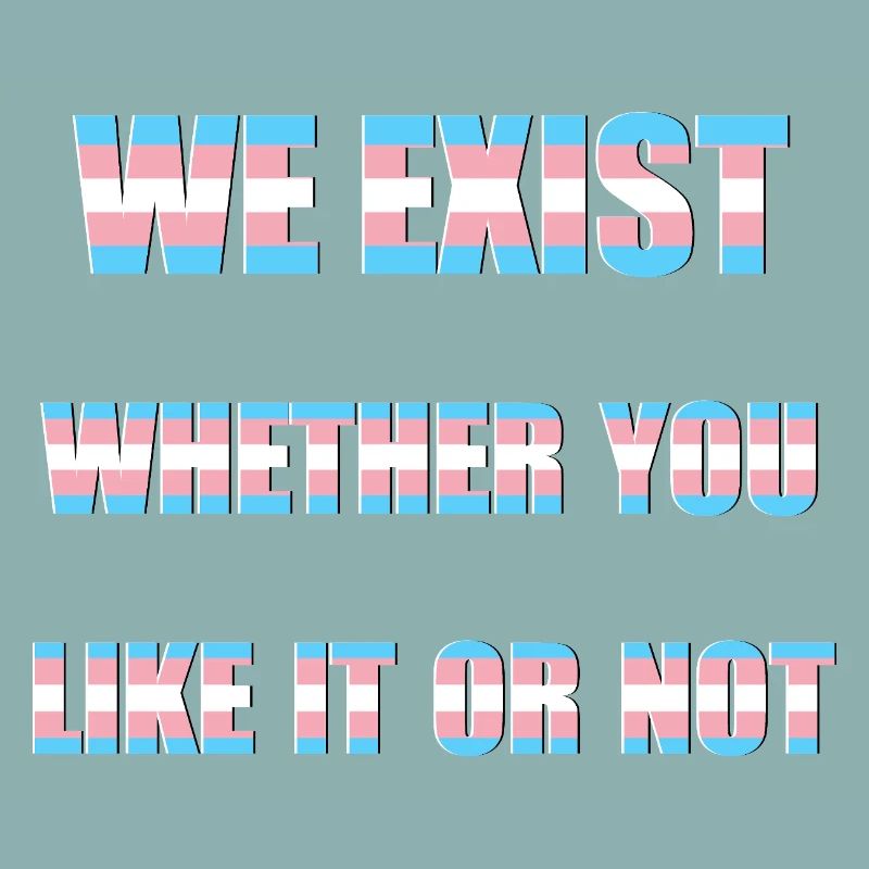 We Exist - Drapeau transgenre