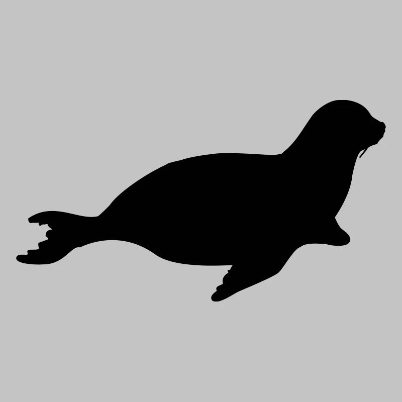 seal animal
