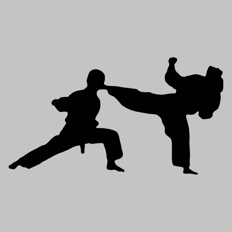 kung fu karate fighting