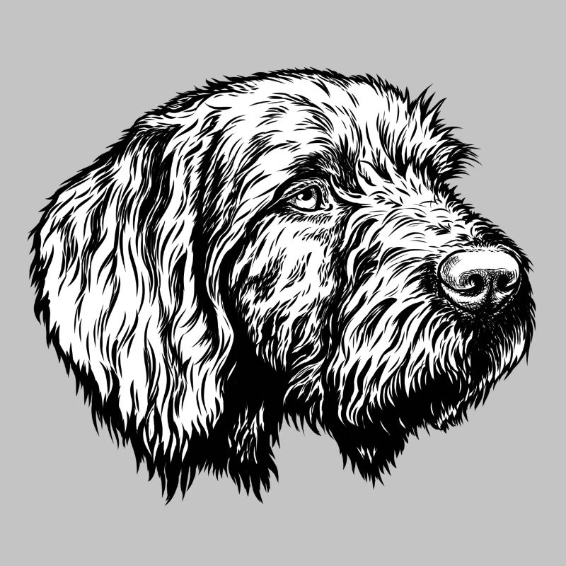 Pudelpointer Portrait