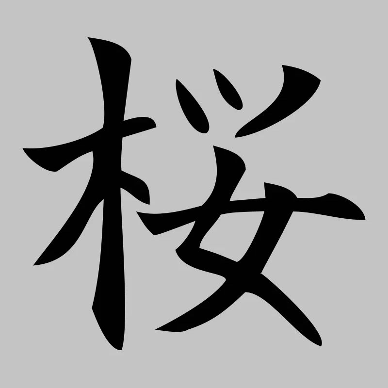 sakura / Kirschblüte