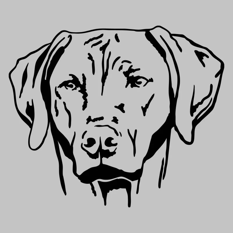 Rhodesian Ridgeback