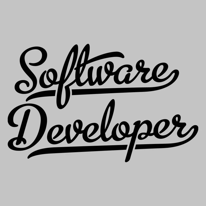 Software Developer