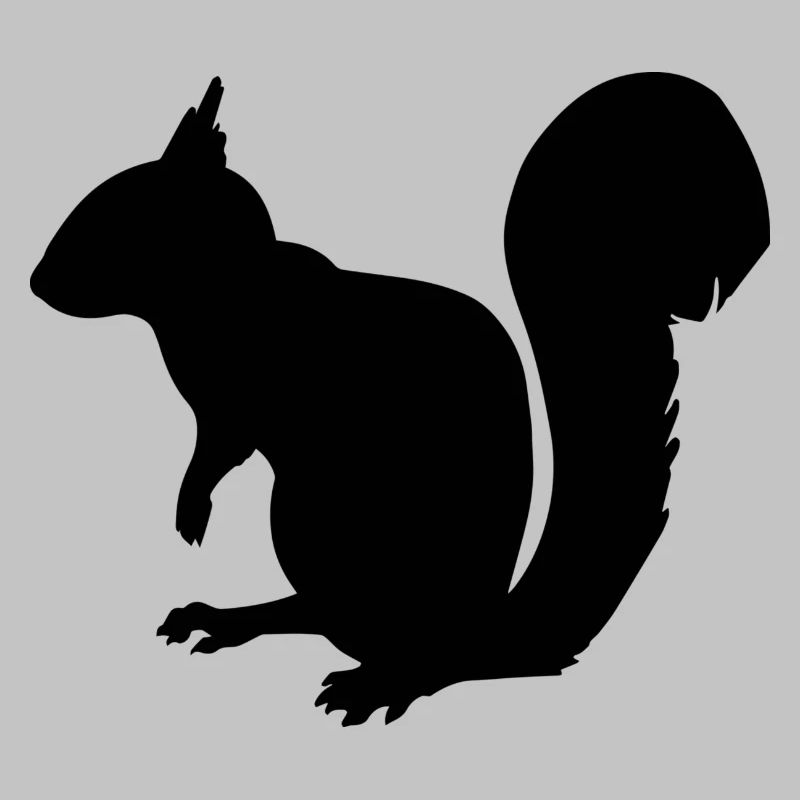 Eichhörnchen