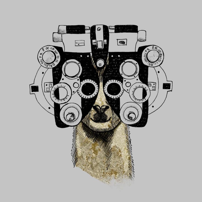 Alpaca&Phoropter