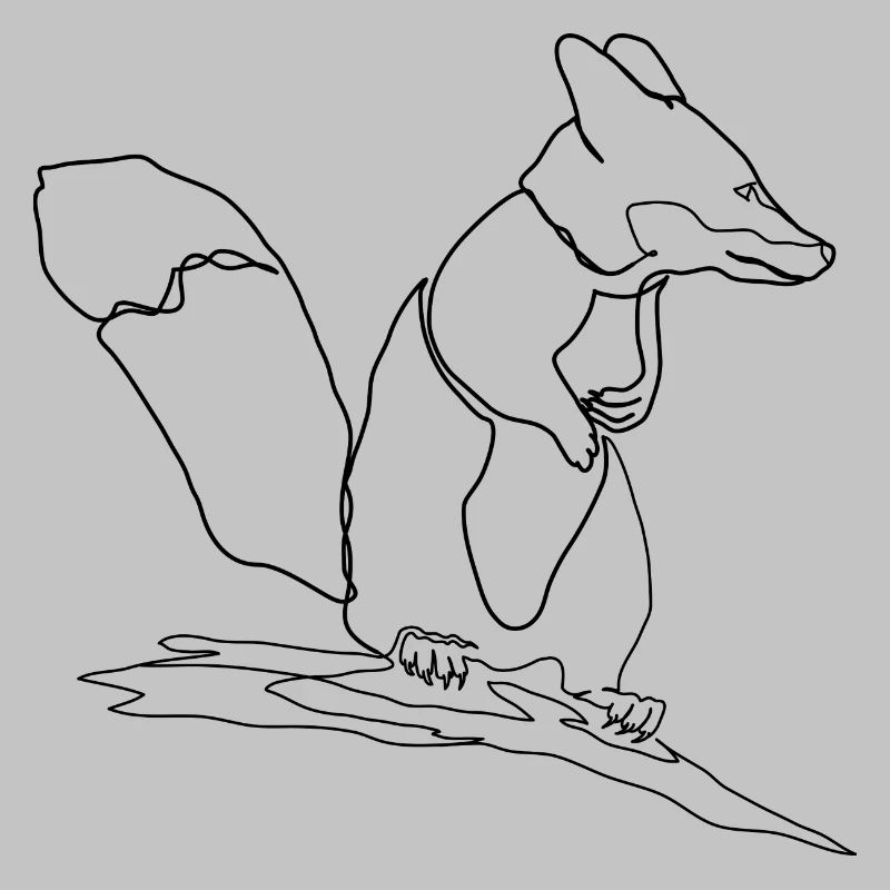 Fuchs Eichhörnchen Squirrel Fox