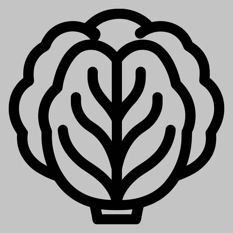 cabbage