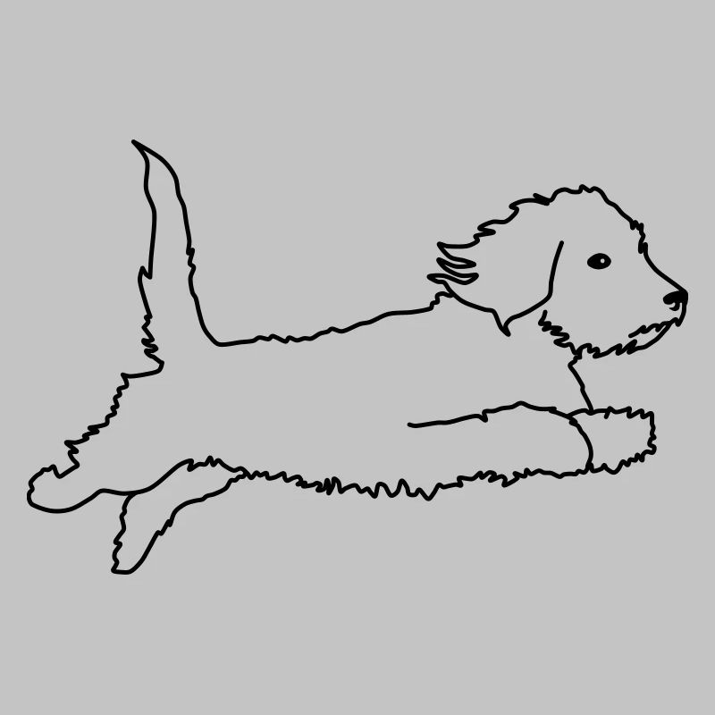 Wire-haired dachshund flying
