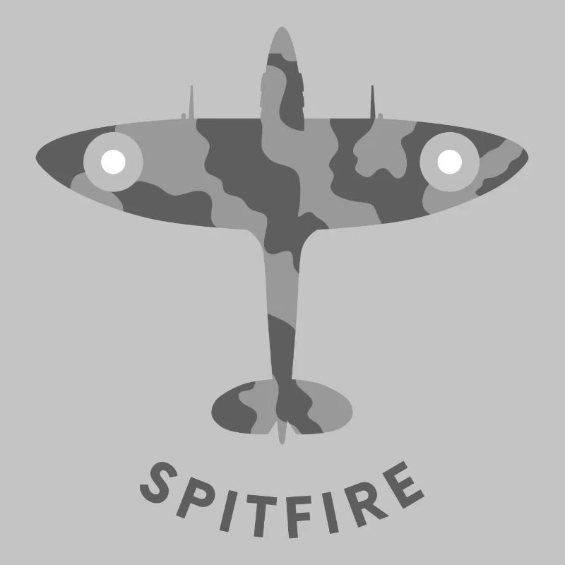 Avion de chasse de Spitfire