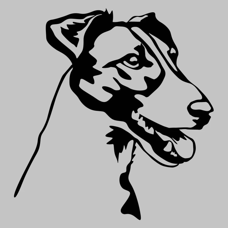 Tête de Fox Terrier