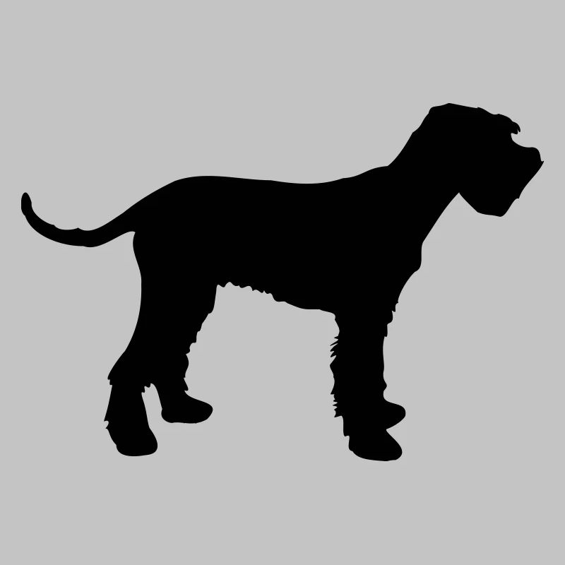 schnauzer géant